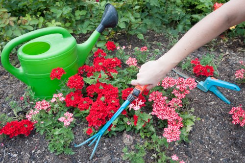 Step-by-step hedge trimming process in Elephant and Castle
