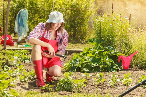 Local climate influencing landscaping choices