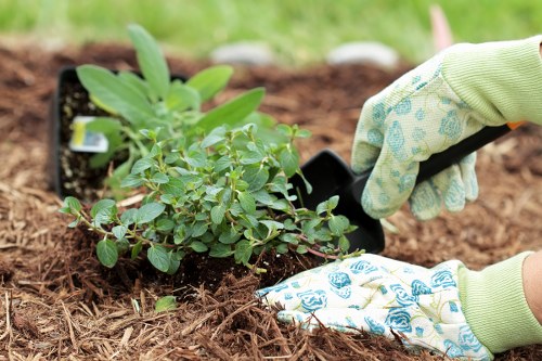 Sustainable urban garden design