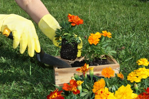Eco-friendly garden clearance practices in Elephant and Castle
