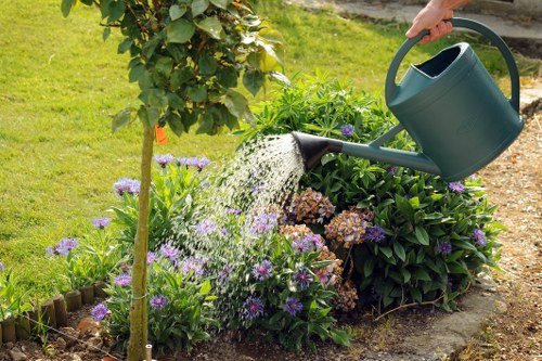 Stump grinding service after tree removal