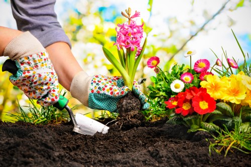 Seasonal garden maintenance activities in Elephant and Castle