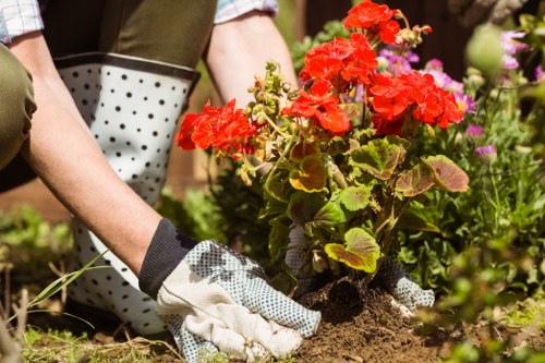 Professionals providing essential garden maintenance services