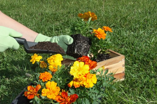 A person wearing light green gardening gloves is planting a flowering plant into a rectangular wooden planter box in a tidy garden. The planter contains vibrant orange, yellow, and red flowers, with lush green foliage around them. The background features a well-maintained lawn with evenly cut grass, and the soil in the box appears fresh and dark. The garden environment is outdoors, with natural daylight illuminating the scene, suggesting a clear, mild day suitable for garden maintenance. This scene reflects typical gardening activities carried out by professionals like Hedge Trimming Elephant and Castle, who specialise in garden enhancement and plant care services within the local area, such as Elephant and Castle in London, showing a focus on plant placement and garden aesthetics.