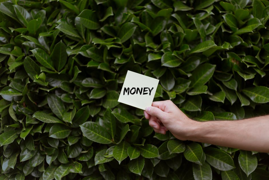 A close-up view of a dense, well-maintained hedge with deep green, glossy leaves that are slightly curved and overlapping, creating a lush backdrop. In the foreground, a person's hand with a fair skin